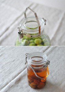 ����Ʈ ������ �̹���